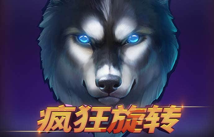 澳门正版资料大全使用教程
